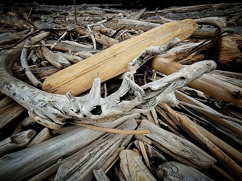 Driftwood is wood that has been washed onto a shore or beach of a sea, lake, or river by the action of winds, tides or waves.