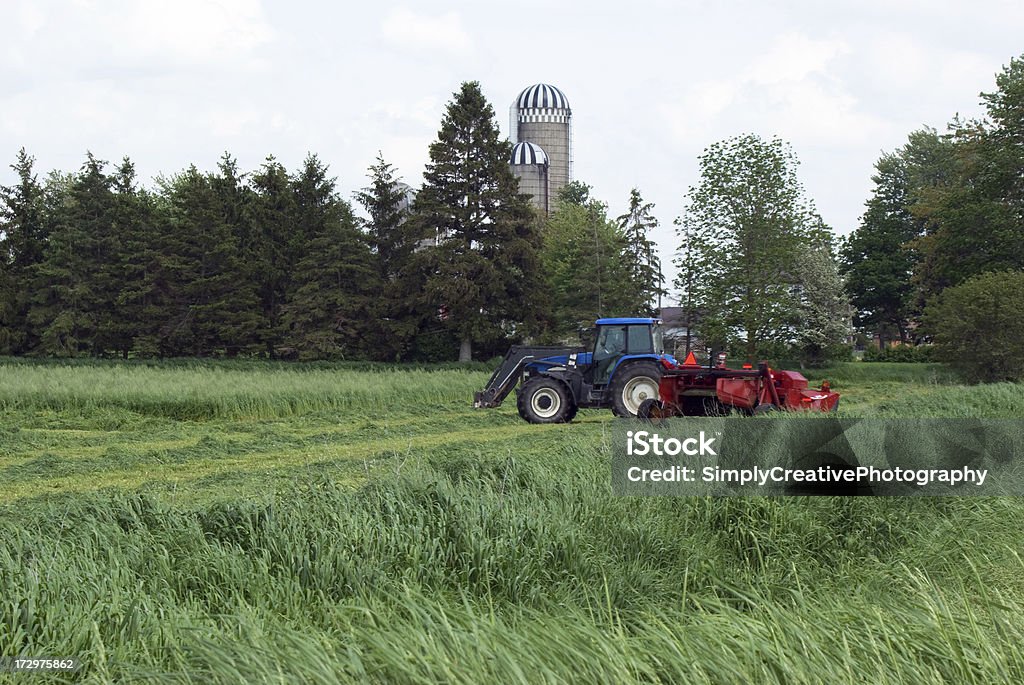 Cutting Hay en la granja - Foto de stock de Agricultura libre de derechos