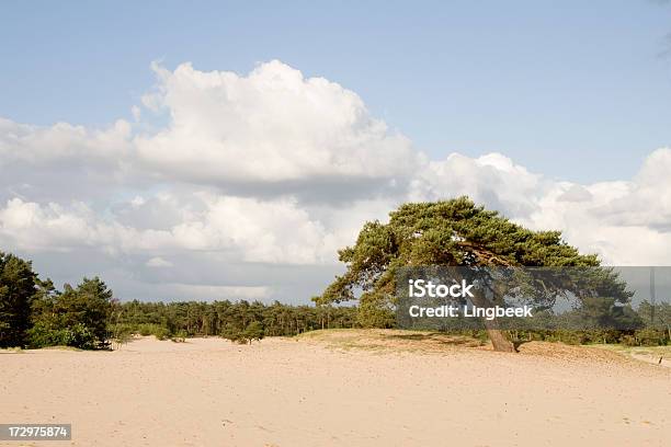 Drifting Sand Doornspijkerzand Stock Photo - Download Image Now - Atmospheric Mood, Beauty, Beauty In Nature