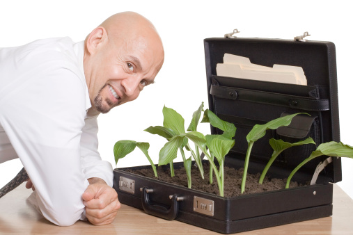 Happy business man with briefcase full of healthy green plants