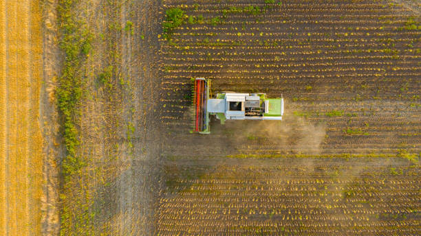 istock Above view on combine, harvester machine, harvest ripe sunflower 1729763761