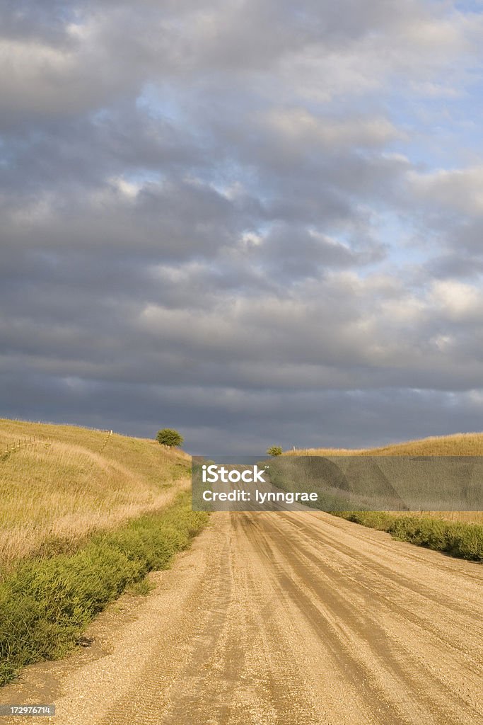 Ghiaia strada in Iowa tardo pomeriggio luce - Foto stock royalty-free di Ambientazione esterna