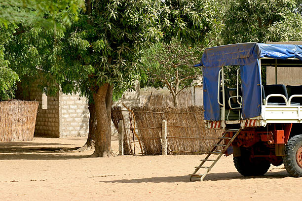 istock The Jungle Bus is waiting 172976741