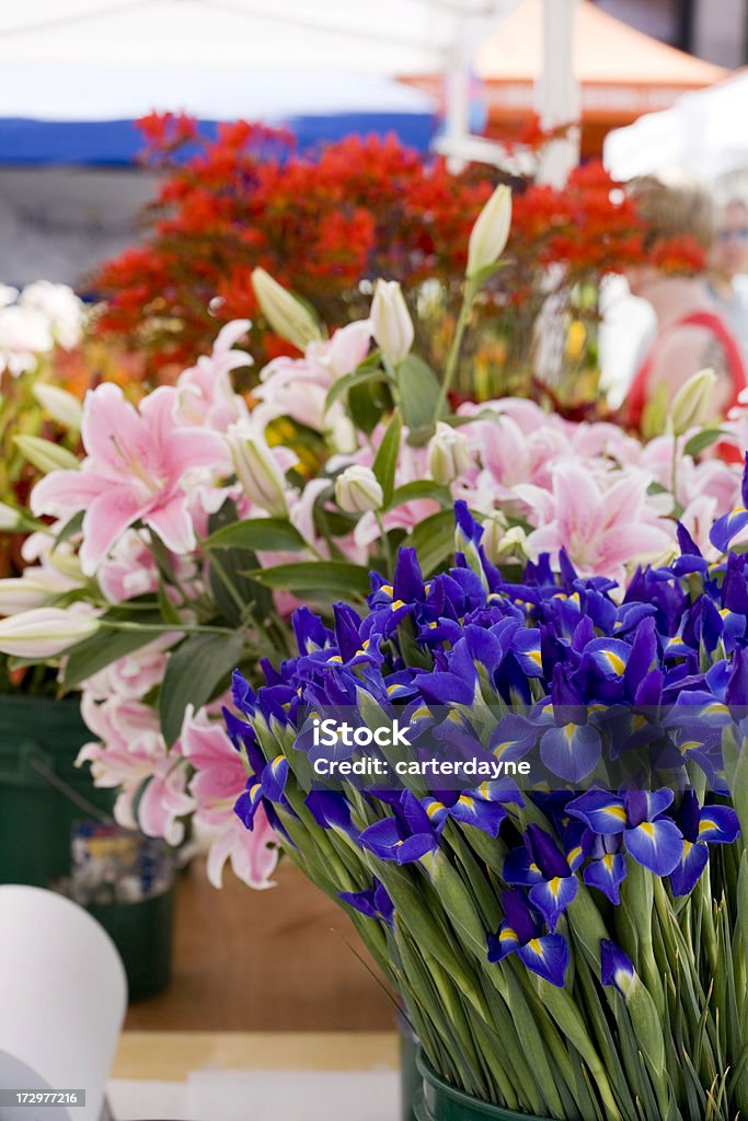 Fleurs fraîches sur le marché - Photo de Beauté de la nature libre de droits