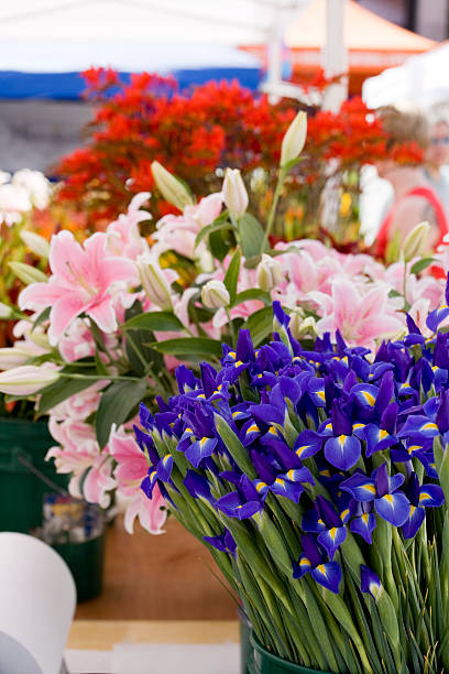 istock Fresh Flowers at Market 172977216