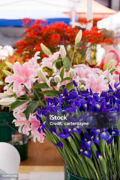 Foto de Flores Frescas No Mercado e mais fotos de stock de Abundância - Abundância, Beleza natural - Natureza, Botão - Estágio de flora