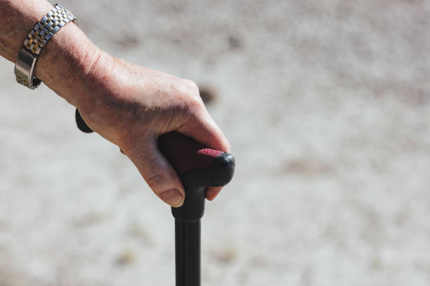 istock Outdoor walks, a remedy for elderly's wellness 1729772302