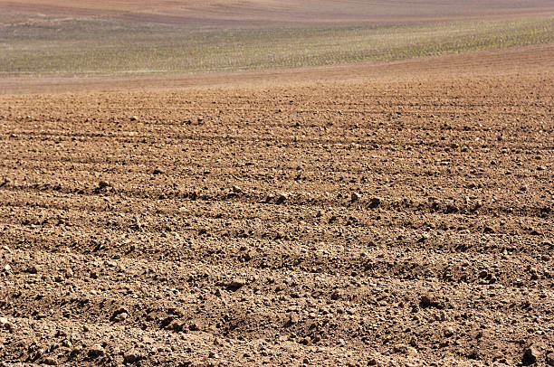 istock Plowed Rows of Fertile Soil 172977299