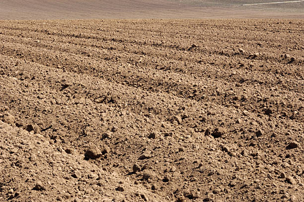 istock Plowed Rows of Fertile Soil 172977305