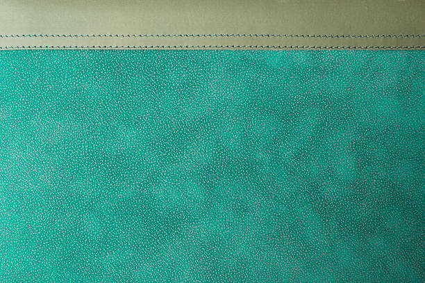 Diary leather photo album aqua green Diary leather photo album aqua greenSee My Portfolio by clicking on the below images: animal skin photos stock pictures, royalty-free photos & images