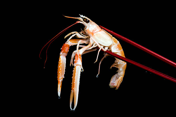 istock Dublin bay prawn in chop stick 172977378