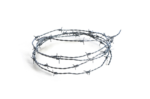 Barbed wire or crown of thorns