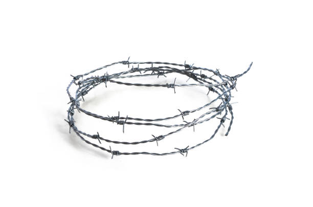 колючая проволока - barbed wire фотографии стоковые фото и изображения