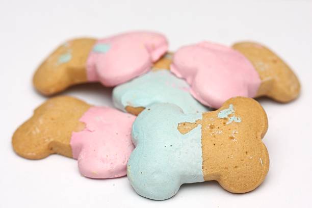 istock Dog Treats 172977518