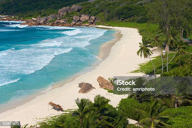 Immagine Di Paradiso - Fotografie stock e altre immagini di Albero - Albero, Albero tropicale, Caraibi