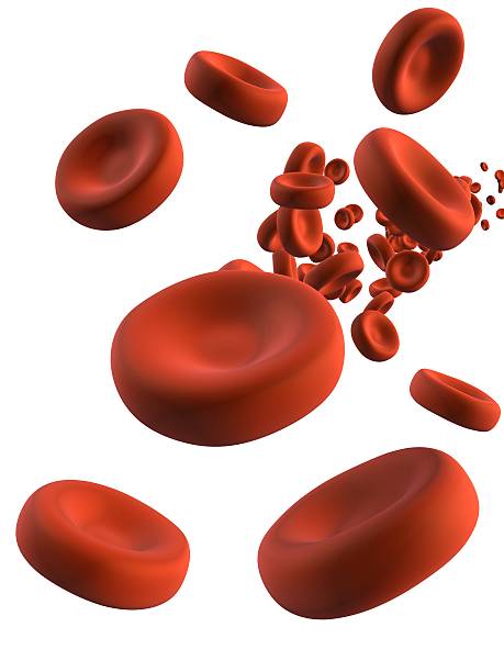 혈액 세포 순항 침울 정맥 흰색 - red blood cell 뉴스 사진 이미지