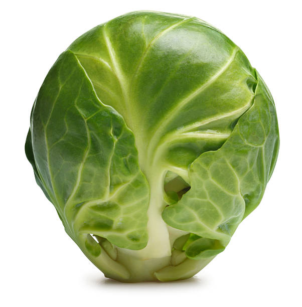 Brussels Sprout A fresh Brussels sprout on white with soft shadow. Clipping path included brussels sprout stock pictures, royalty-free photos & images