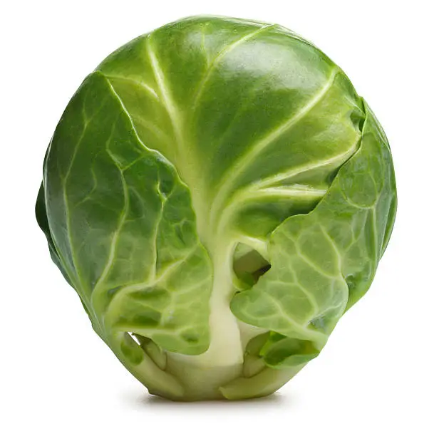 A fresh Brussels sprout on white with soft shadow. Clipping path included