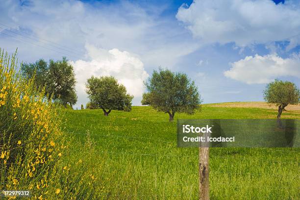 Valdorcia Stockfoto und mehr Bilder von Agrarbetrieb - Agrarbetrieb, Anhöhe, Bildhintergrund