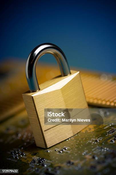 Firewall Stock Photo - Download Image Now - Privacy, Data, Circuit Board