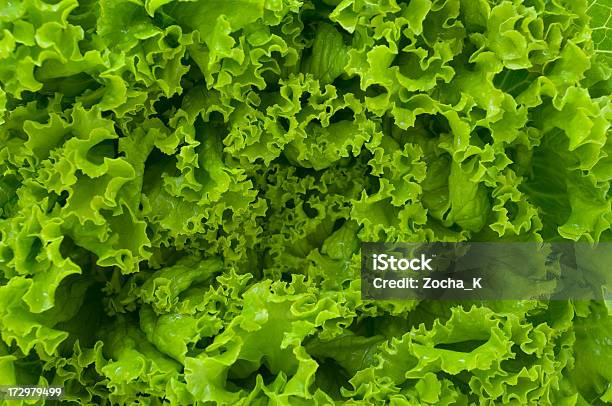 Grüne Blätter Stockfoto und mehr Bilder von Bildhintergrund - Bildhintergrund, Blatt - Pflanzenbestandteile, Ernten