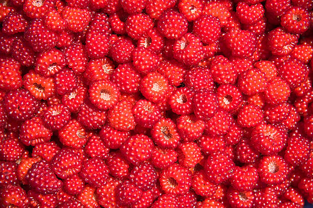 Raspberry`s stock photo