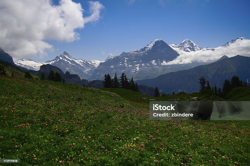 Mont Eiger - Photo de 2000-2009 libre de droits