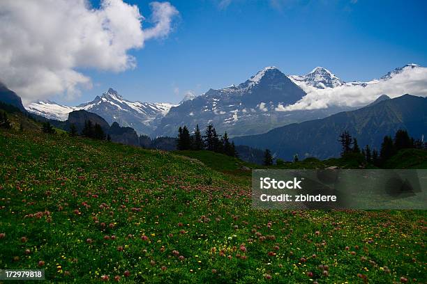 Эйгер — стоковые фотографии и другие картинки 2000-2009 - 2000-2009, Jungfrau Region, XXI век