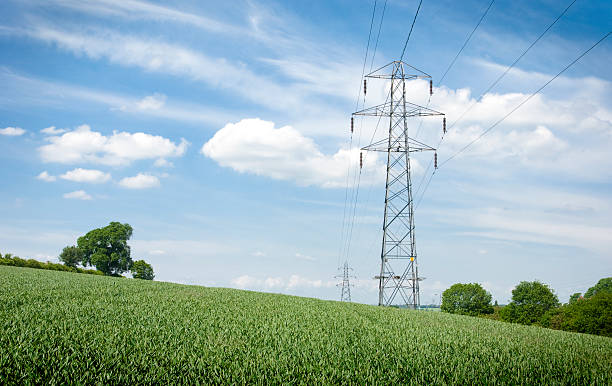 Lush Field with Electricity Pylons