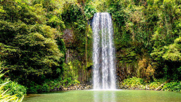 istock Milla Milla Waterfall, Atherton Tablelands, Tropical Queensland 1729801951