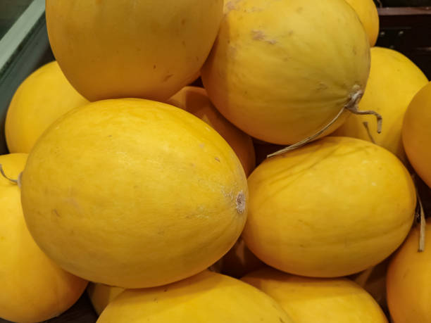 istock Close up yellow canaries in the market 1729802068
