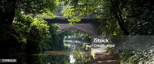 Waltonbrücke Bridgewater Kanal England Stockfoto und mehr Bilder von Kanal - Kanal, Architektur, Baum