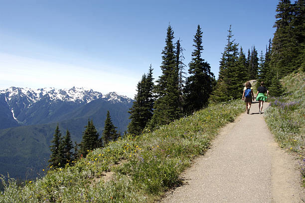istock Hiking In The Olympic Mountains 172980420