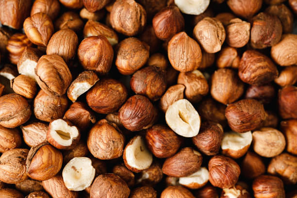 Peeled and roasted organic hazelnuts stock photo