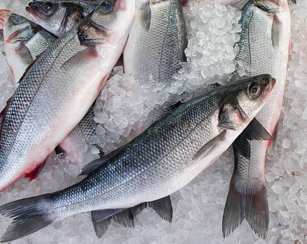 Mercado de pescados de mar trucha Horiz. - foto de stock