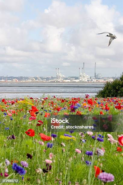 Charakter W Porównaniu Z Branży - zdjęcia stockowe i więcej obrazów Port handlowy - Port handlowy, Sozotechnika, Bez ludzi