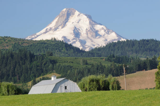 istock Mt Hood and White Farmhouse 172980882