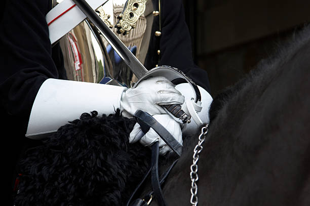 istock Regimental soldier on horse 172981280