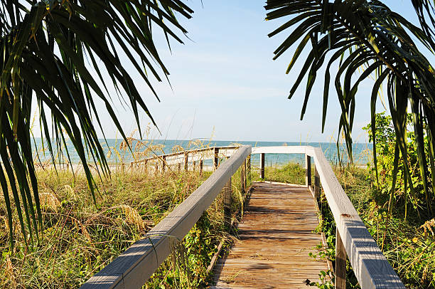 istock Boardwalk to Beach on Sanibel Island 172981624
