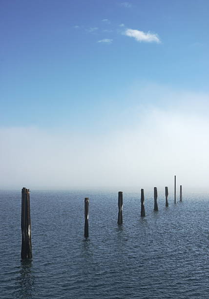 istock Bollard Mooring Posts Harbor Fog 172981649