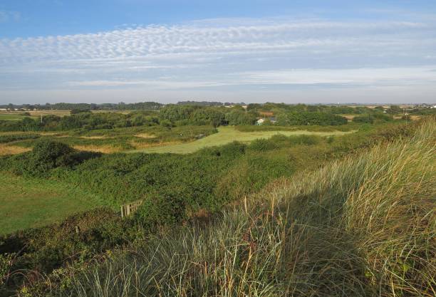 istock view inland from coastual dunes 1729816500