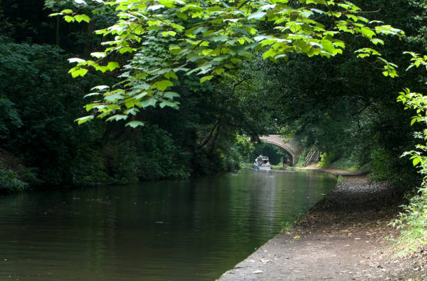 bridgewater canal, walton, warrington, cheshire, inglaterra - canal warrington english culture uk - fotografias e filmes do acervo