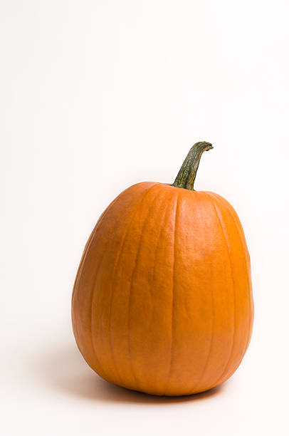 pumpkin stock photo