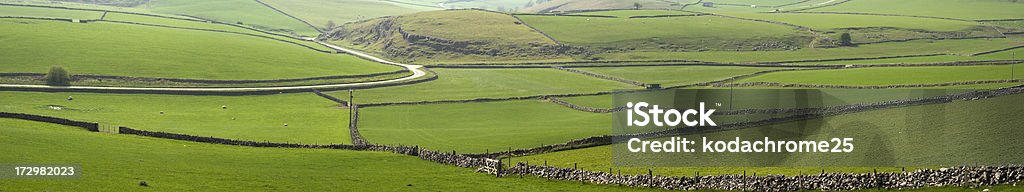 peak district peak district landscape with fields and dry stone walls Agricultural Field Stock Photo