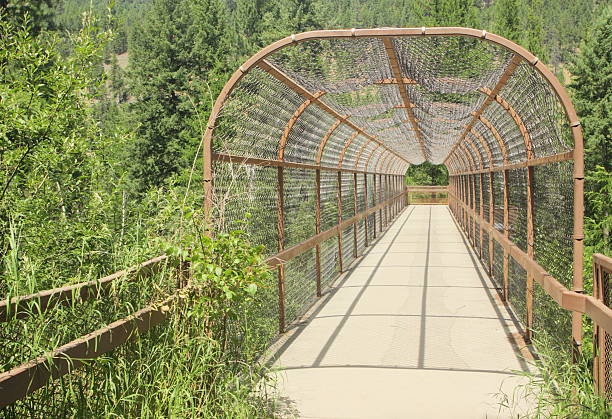 Footbridge Wilderness Trail Bridge Canopy