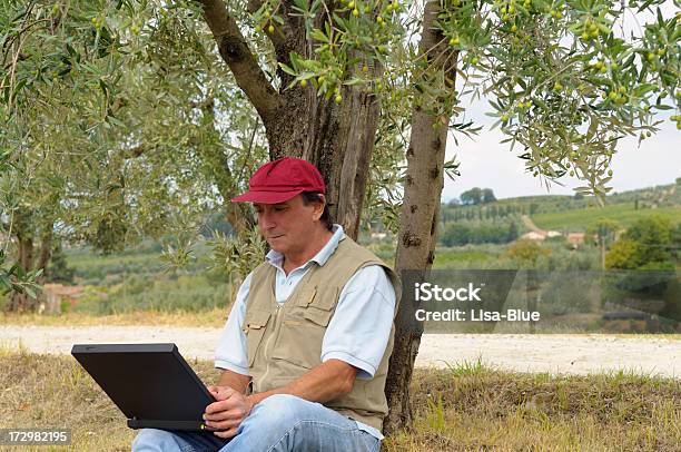 Farmer Y Tecnología Foto de stock y más banco de imágenes de Toscana - Toscana, Aceituna, Aceituna verde