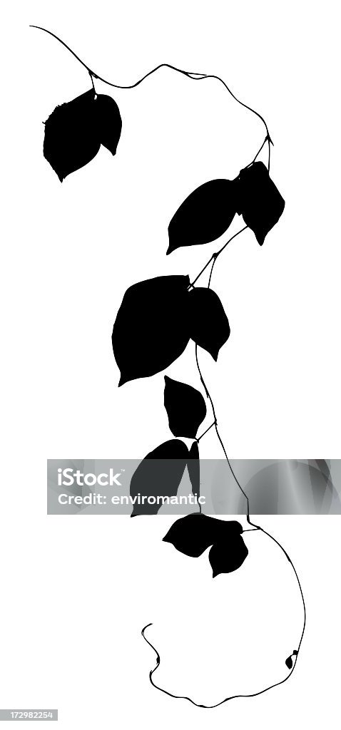 Creeper plant silhouette, isolated on white, clipping path included A silhouette of a creeper plant. Clipping path supplied. Great to use as a design element.  Asia Stock Photo