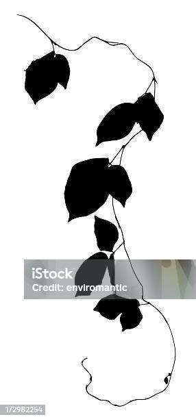 Creeper Plant Silhouette Isolated On White Clipping Path Included Stock Photo - Download Image Now