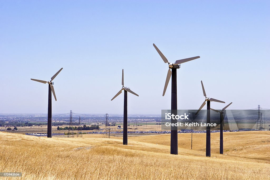 Wind Turbines  Agricultural Field Stock Photo