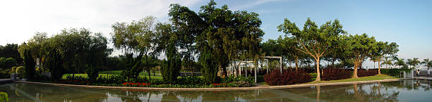 Sombra de árvore sobre a água de Piscina no jardim - fotografia de stock